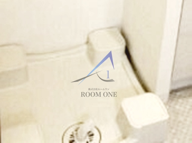 クレイシア両国カルミナの設備|洗濯機置き場です。