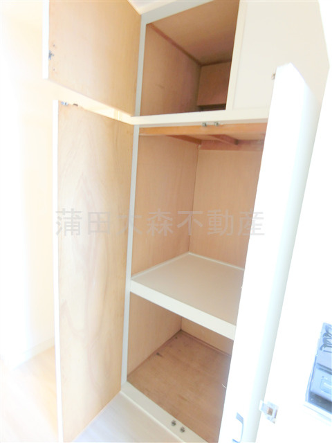 サンテラス藤の収納|廊下の棚収納