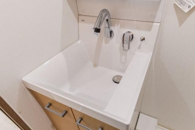 アイリス神楽坂の洗面所