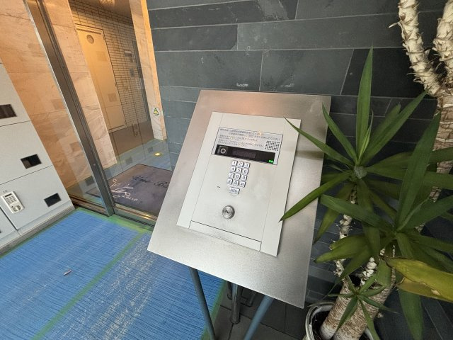 アン・ボルヌのセキュリティ