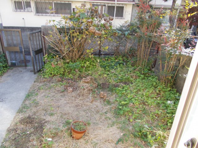 塩屋町５丁目貸戸建の庭