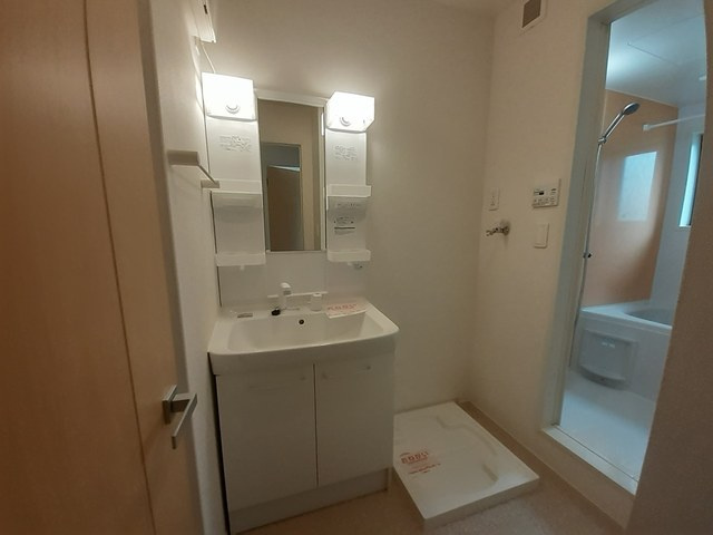 コウジィー・コートⅡの洗面所