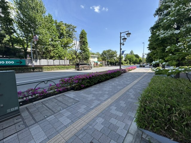 ルネッサンスタワー上野池之端のその他|前面道路