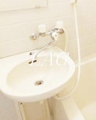 【洗面所】 | 入谷センチュリープラザ２１ | 洗面台です。