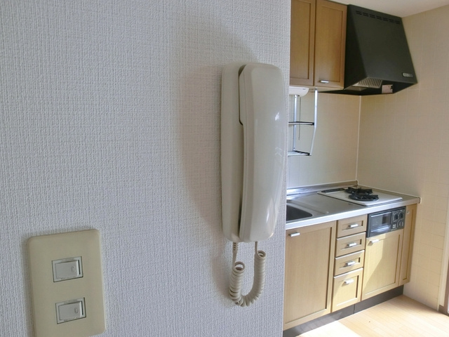 ディーセントのセキュリティ|ドアホンあります。