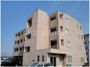 アムール・AKの画像