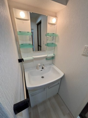 【独立洗面台】 | アルボール西道頓堀 仲介手数料無料