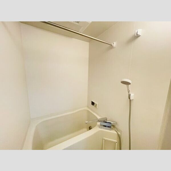 Belle demeure Mt.cedar　Aの浴室