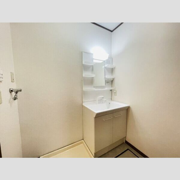 Belle demeure Mt.cedar　Aの洗面所