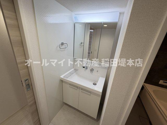 D Paina 生田の洗面所