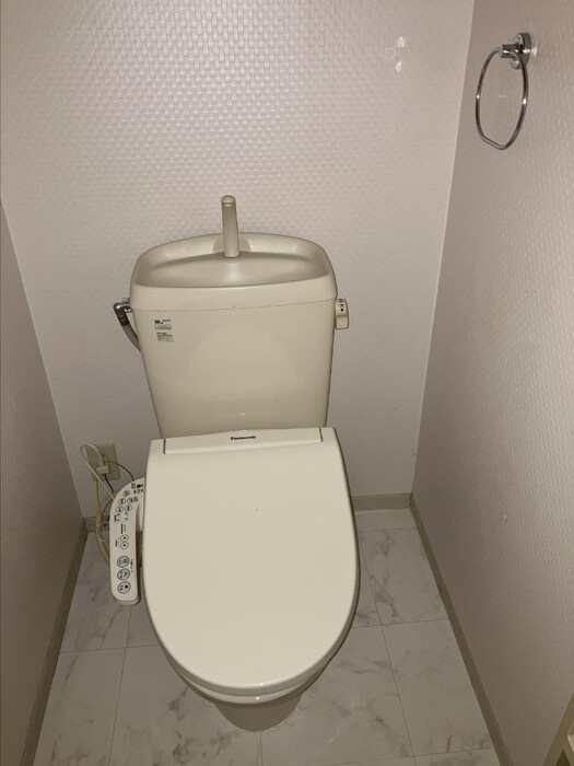 グリーンパーク大善寺Ⅱ　A棟のトイレ|落ち着いたトイレです