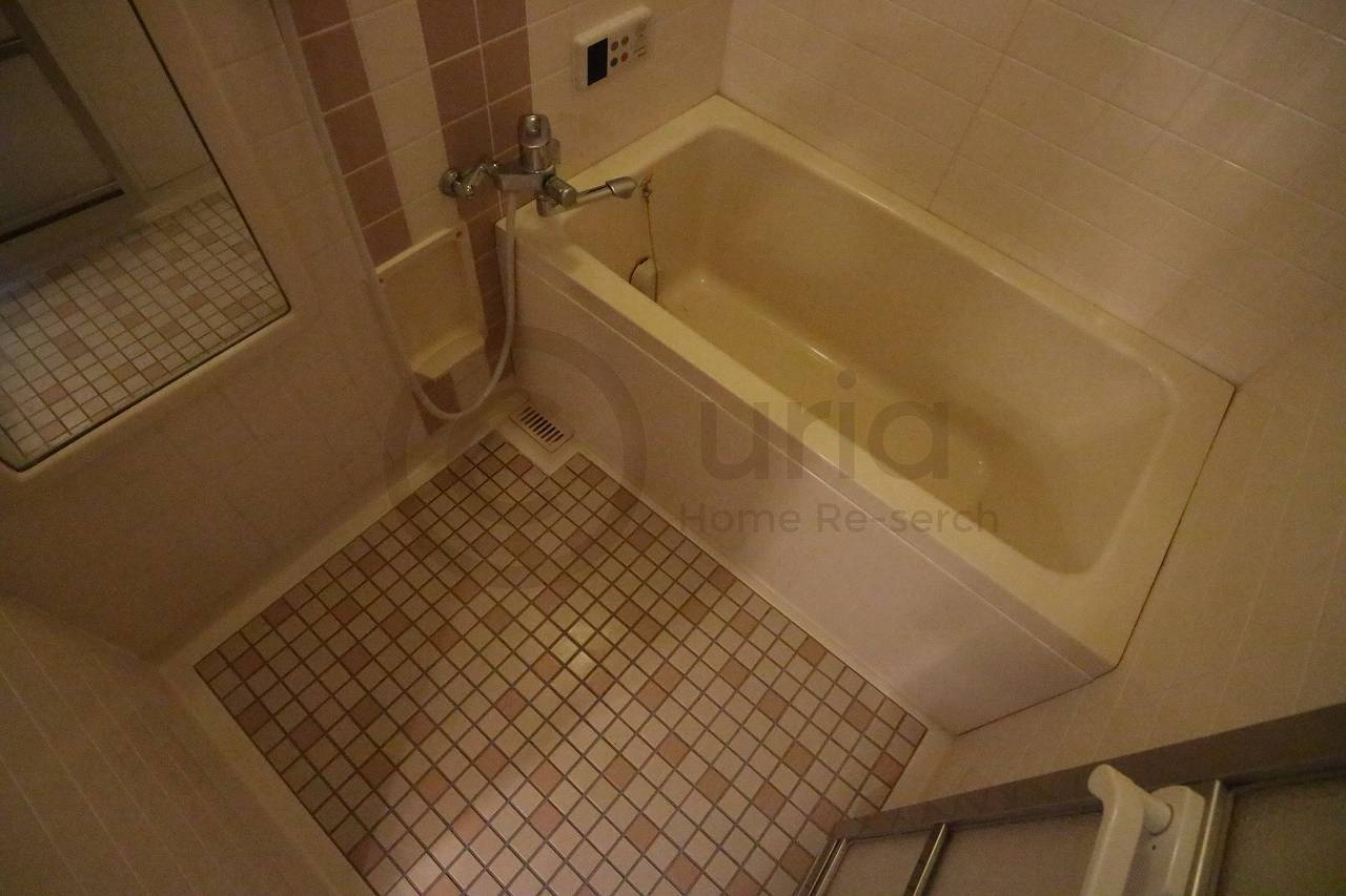 ダンディライオン魚崎の浴室