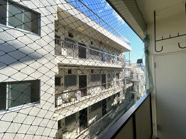 マンション白菊の展望