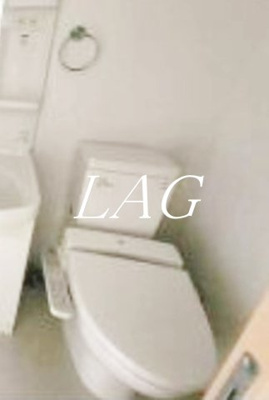 【トイレ】 | シュロス高田馬場 | トイレです。