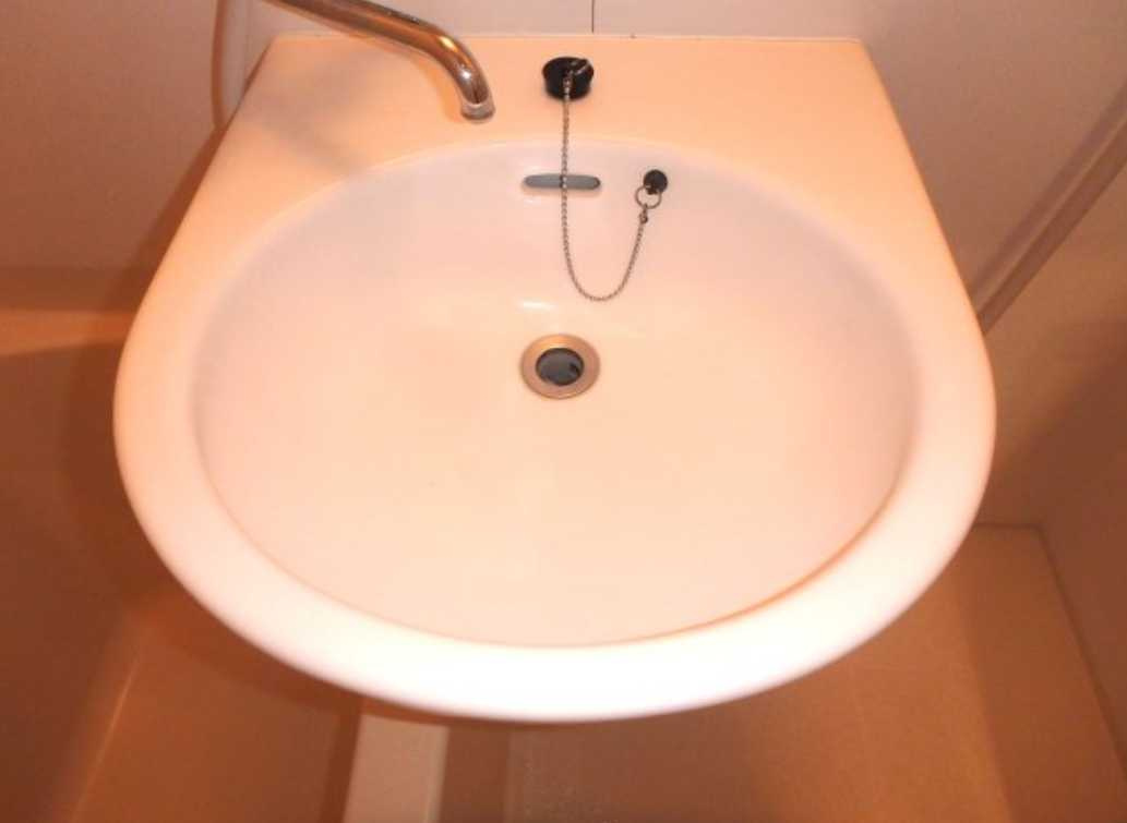 タウンテラス野沢　ネット無料　陽当たり良好　浴室乾燥の洗面所