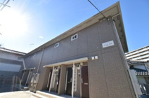 コート　エムの画像