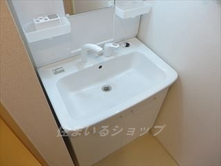 広島市安佐北区上深川町のアパートの洗面所|シャンプードレッサー