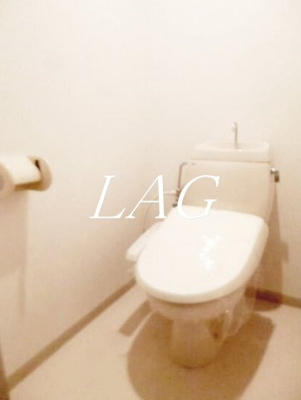 【トイレ】 | 長嶋ハイツ | トイレです。