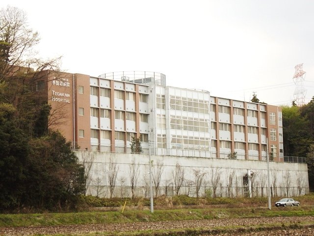 Ｆｅｌｉｃｉａ　ａｍｅｌｌｏｉｄｅｓの周辺|医療法人社団健仁会手賀沼病院まで1,864ｍ