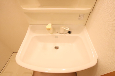 忙しい朝にもうれしい洗髪洗面化粧台です