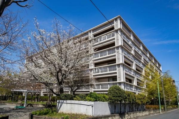 【外観】 | ナビウス二子玉川園 | 日が当たり、あたたかながらもスタイリッシュなたたずまいです！