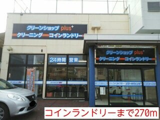 ビュ－ハイツ久保Ⅱの周辺|コインランドリーまで270m