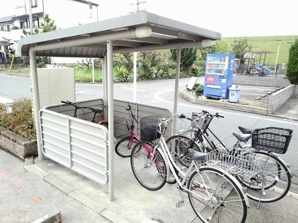 ｓｏｌｅｉｌ　Ａのその他
