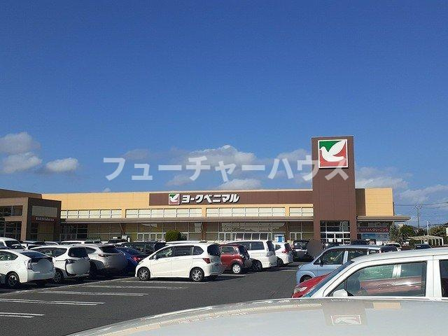 パステルＭ１の周辺|ヨークベニマル赤塚店まで1800m