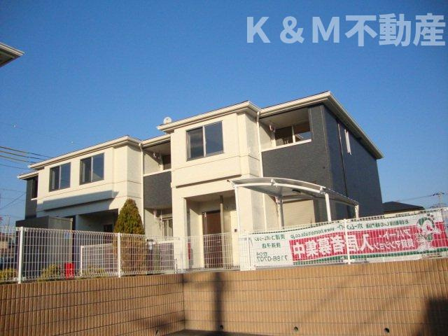 Ｆｅｌｉｃｉａ　ａｍｅｌｌｏｉｄｅｓ