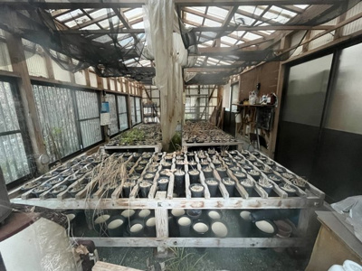 【その他】 | 中古一戸建　香南市野市町東佐古 | かつて蘭を栽培していた小屋