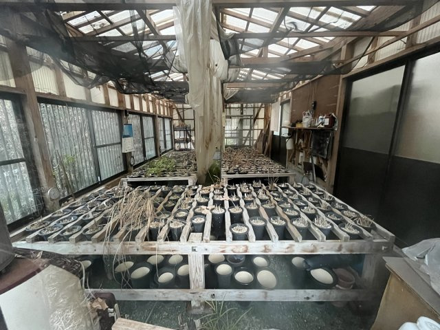 【その他】 | 中古一戸建　香南市野市町東佐古 | かつて蘭を栽培していた小屋