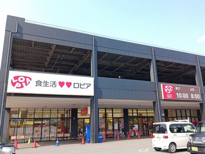 【周辺】 | サニーレジデンスⅢ | ロピアまで950m