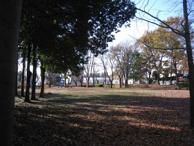 筑波ユニバーサイドの周辺|しらかし公園まで１５０メートル