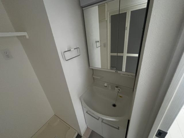 広島市南区宇品御幸４丁目の賃貸マンションの洗面所