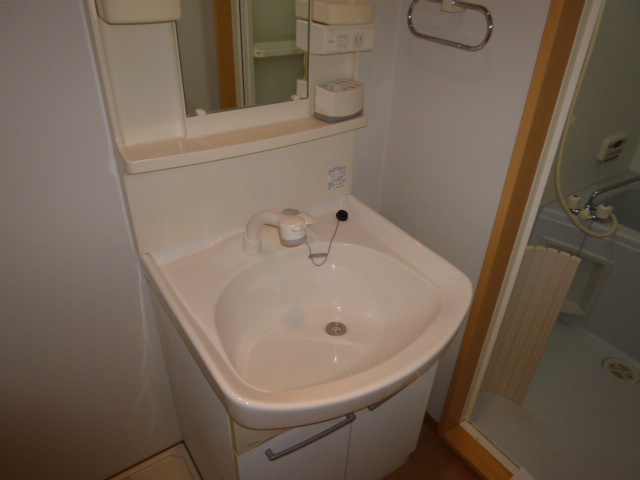 クレモンポイントAの洗面所