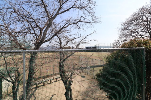 八女蒲原新築戸建の展望|桜と岡山球場が一望できます。