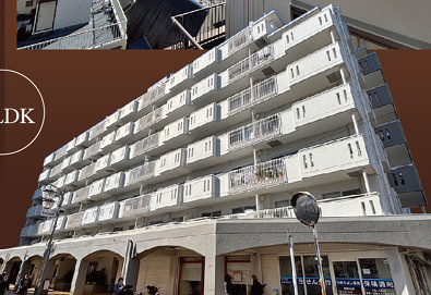 ハイネス富士見ヶ丘