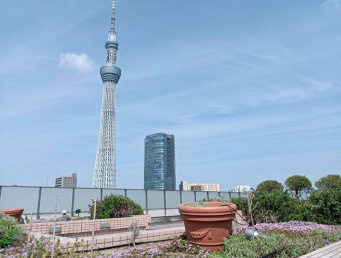 【展望】 | フルーヴ押上