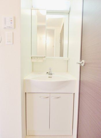 レオネクストバーサトル坂南の洗面所