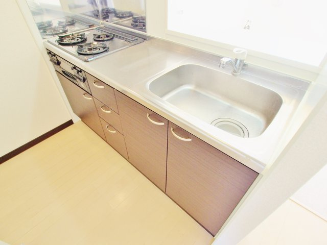 レオネクストバーサトル坂南のキッチン