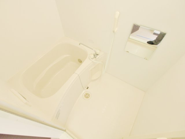 レオネクストバーサトル坂南の浴室