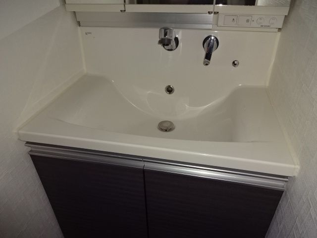 レヴィ亀戸の洗面所