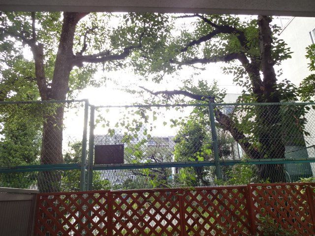 レヴィ亀戸の展望