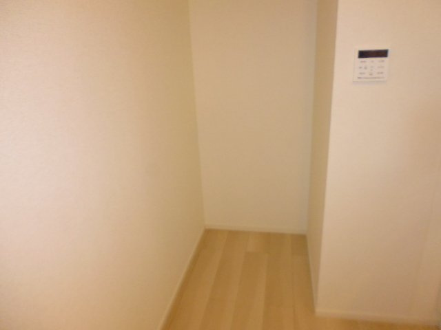 アイリス　パディのその他