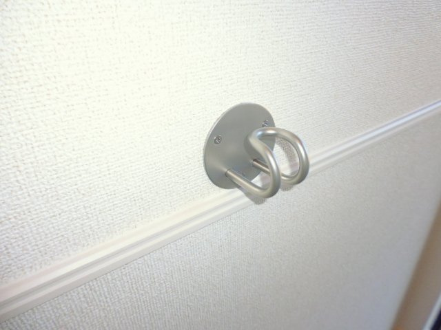 アイリス　パディのその他|リードフック