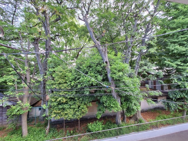 グレースハウスの展望