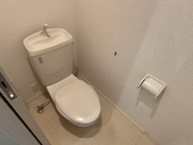 ＥＸＣＥＬ　ＰＩＧＥＯＮのトイレ