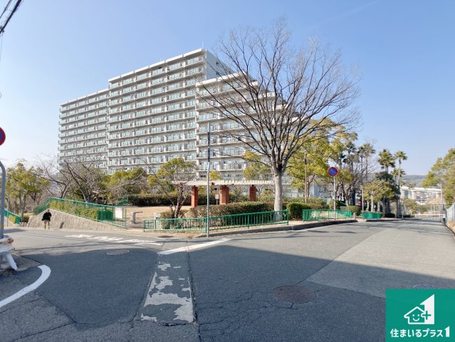 パームスクエアジェームス山の外観|周辺は閑静な住宅街！前面道路広々で車の出し入れも便利です。駐車が苦手な方でも安心して車庫入れできます！