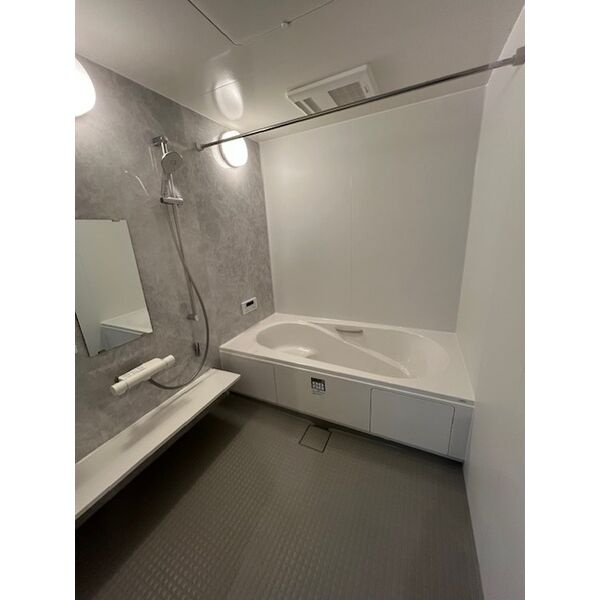 Visso(ワンちゃんと私の家)の浴室