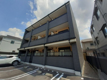 Ｃａｌｍｌｙ　Ｌｉｆｅの画像